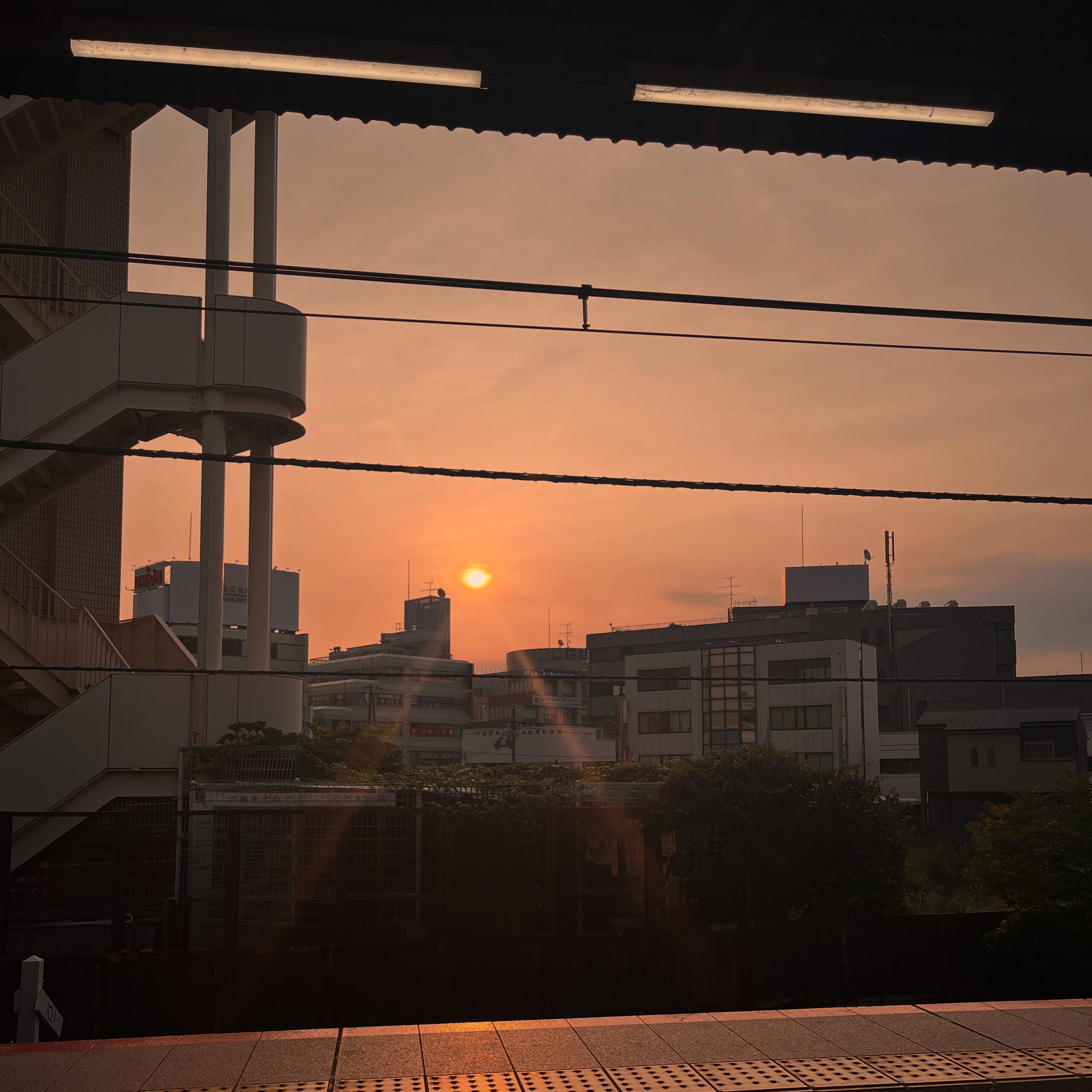今日のひとこと（2025年8月21日）その②