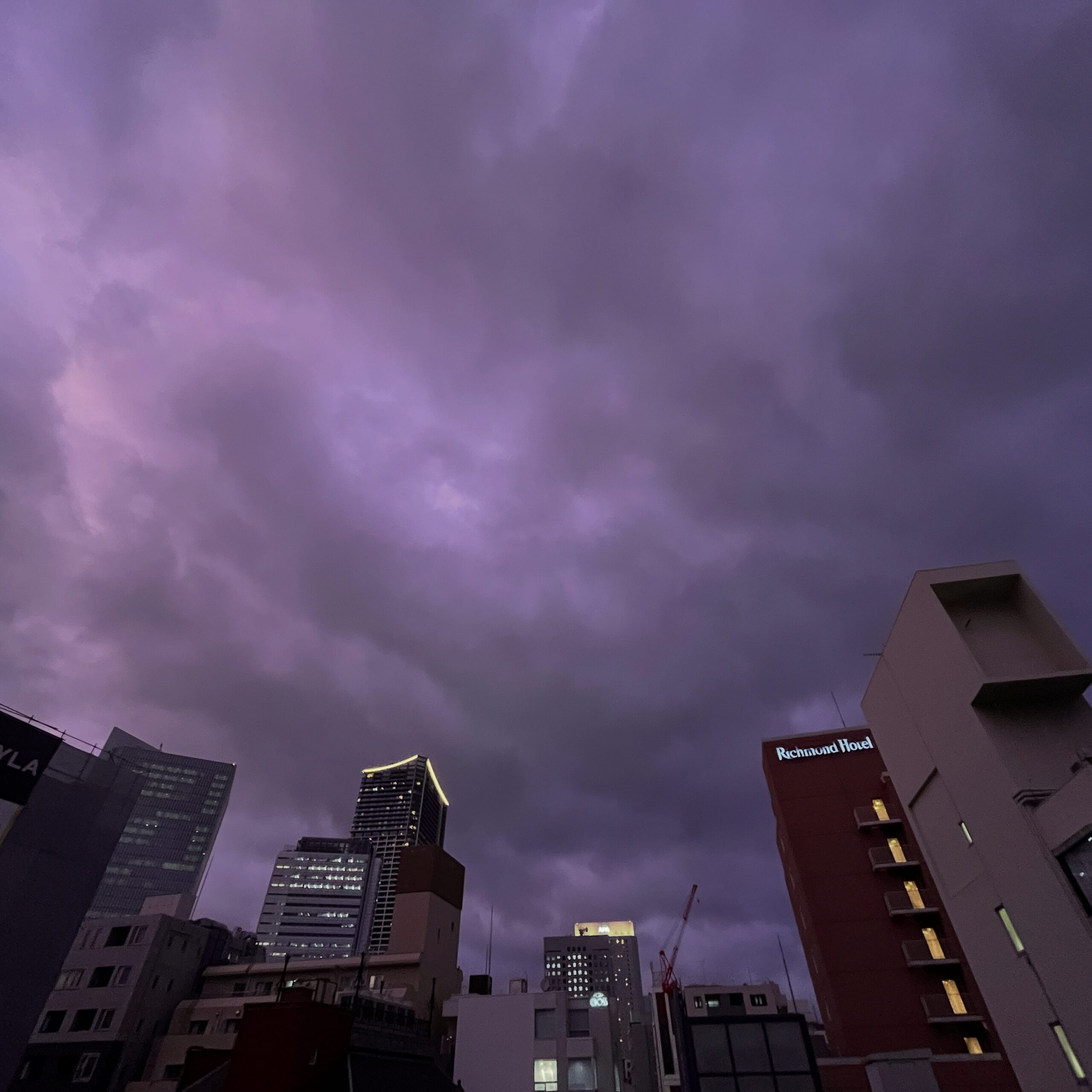 今日のひとこと（2025年8月1日）