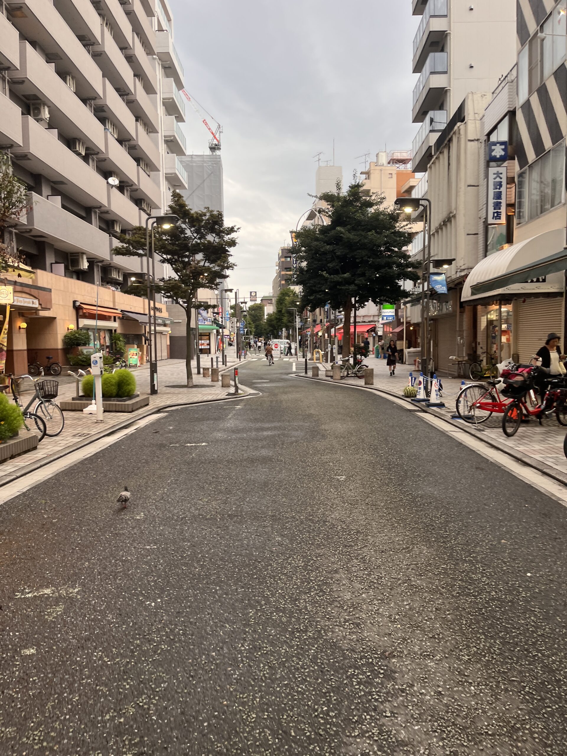 今日のひとこと（2025年8月11日）